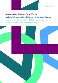 Information Booklet for CEOs in Ireland's IFS Sector December 2025